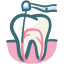 Endodonzia